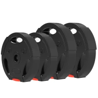 Soozier 1-Inch Weight Plates, Barbell Weights Set for Weightlifting and Strength Training, 2 x 17lbs + 2 x 11lbs(m-2)