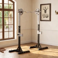 Soozier 2-Piece Squat Rack, Adjustable Bench Press Stand, Weight Lifting Rack for Home Gym Strength Training, Black(m-8)