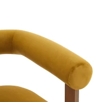 Round Arm Accent Chair with Velvet Upholstery, Curved Backrest Armchair with Solid Birch Wood Base, 31'' L x 29'' W x 30'' H, Mustard Yellow+Walnut(m-11)
