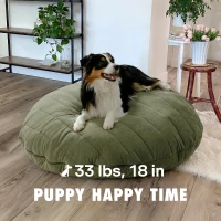 Soft Velvet Bean Bag Sofa for Kids with High-Resilience Foam, Cozy Lounge Armchair for Playrooms, 36" L x 30" W x 25" H, Antique Light Green(m-4)