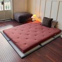 Breathable CocoShield Tatami Mat with Natural Jute Fiber, Moisture-Proof Sleeping Pad for Bedrooms, 152.5L x 203W x 2H cm, Light Green(m-4)