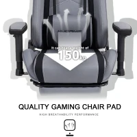 Ergonomic Gaming Chair with Adjustable Lumbar and Headrest Pillows, Cozy Computer Seat for Office and Gaming, 27.5"L x 20.5"W x 53"H, Gray(m-6)