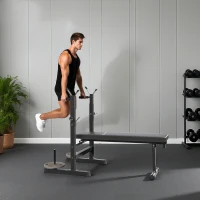 Soozier Adjustable Weight Bench, Foldable Bench Press with Barbell Rack and Dip Station for Home Gym, Strength Training Multiuse Workout Bench, Black and Grey(m-10)