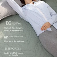 Comfortable Wheat Dream Futon Mattress with High-Density Foam, Breathable Floor Sleeping Pad for Bedrooms, 80" L x 78" W x 2.5" H, Oliver Green(m-5)