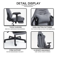 Ergonomic Gaming Chair with Adjustable Lumbar and Headrest Pillows, Cozy Computer Seat for Office and Gaming, 27.5"L x 20.5"W x 53"H, Gray(m-9)