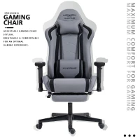 Ergonomic Gaming Chair with Adjustable Lumbar and Headrest Pillows, Cozy Computer Seat for Office and Gaming, 27.5"L x 20.5"W x 53"H, Gray(m-4)
