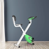 Soozier Foldable Indoor Stationary Bike with 8 Levels of Magnetic Resistance, Exercise Bike for Cardio Workout, Green(m-1)