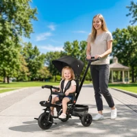 Qaba Kids Tricycle, 5 in 1 Foldable Trike with Reversible Seat, Adjustable Parent Handle, Safety Harness, Wheel Brakes, Removable Canopy, Storage, Tricycle for Toddlers 1-5 Years, Black(m-2)