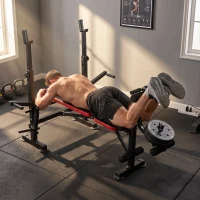 Soozier Adjustable Weight Bench for Weight Lifting and Strength Training(m-10)