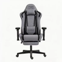 Ergonomic Gaming Chair with Adjustable Lumbar and Headrest Pillows, Cozy Computer Seat for Office and Gaming, 27.5"L x 20.5"W x 53"H, Gray(m-2)