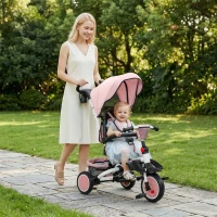 Qaba 6 in 1 Kids Tricycle with Adjustable Push Handle, Removable Canopy, Reversible Seat, for 1-5 Years, Pink(m-2)
