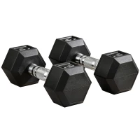 Soozier Rubber Dumbbells Weight Set, Total 30lbs Dumbbell Hand Weight for Body Fitness Training for Home Office Gym, 2 x 15lbs(m-11)