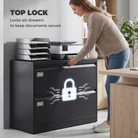 HOMCOM Lateral Filing Cabinet with 2 Drawers, Lockable Steel File Cabinet for A4/Letter/Legal Size Files, Black(m-5)