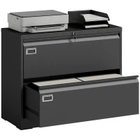 HOMCOM Lateral Filing Cabinet with 2 Drawers, Lockable Steel File Cabinet for A4/Letter/Legal Size Files, Black(m-9)