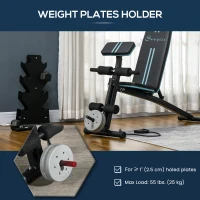 Soozier Foldable Press Bench Adjustable Dumbbell, Weight Training Bench Exercises Gym Chair, Black & Blue(m-7)