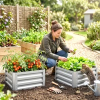 Outsunny Set of 2 Raised Garden Bed, 2 x 2 x 1ft Steel Planters for Outdoor Plants, Elevated Planter Box, Easy-to-assemble, for Flowers Herbs and Vegetables, Silver(m-8)