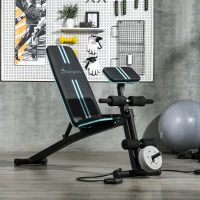 Soozier Foldable Press Bench Adjustable Dumbbell, Weight Training Bench Exercises Gym Chair, Black & Blue(m-8)