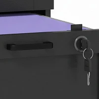 HOMCOM Vertical Filing Cabinet with 2 Drawers, Lock, File Cabinet for Home Office, A4 and Letter Size Files, Black(m-12)