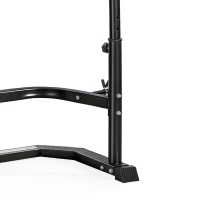 Soozier Multi-Function Home Gym Machine with Bench Press Rack, Squat Rack and Lat Pulldown System, Black(m-10)