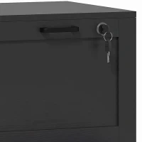 HOMCOM Vertical Filing Cabinet with 2 Drawers, Lock, File Cabinet for Home Office, A4 and Letter Size Files, Black(m-10)