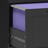 HOMCOM Vertical Filing Cabinet with 2 Drawers, Lock, File Cabinet for Home Office, A4 and Letter Size Files, Black(m-11)
