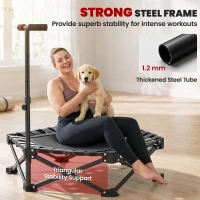 Soozier 42" Foldable Mini Trampoline, Rebounder Trampoline with Adjustable Foam Handle for Indoor Outdoor Workout for Adults(m-6)