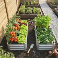 Outsunny Galvanized Raised Garden Bed, 4' x 2' x 1' Metal Planter Box, for Growing Vegetables, Flowers, Herbs, Succulents, Silver(m-9)