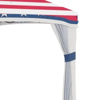 Outsunny 10' x 10' Pop Up Canopy Tent with Netting, Instant Tents for Parties, Height Adjustable, with Wheeled Carry Bag and 4 Sand Bags for Outdoor, Garden, Patio, American Flag(m-8)