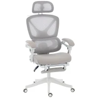 HOMCOM Mesh Desk Chair with Adjustable Headrest, Reclining Ergonomic Office Chair with Footrest, Light Grey(m-2)