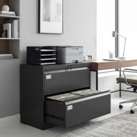 HOMCOM Lateral Filing Cabinet with 2 Drawers, Lockable Steel File Cabinet for A4/Letter/Legal Size Files, Black(m-1)