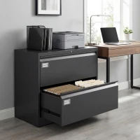 HOMCOM Lateral Filing Cabinet with 2 Drawers, Lockable Steel File Cabinet for A4/Letter/Legal Size Files, Black(m-8)