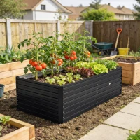 Outsunny Galvanized Raised Garden Bed, Outdoor Planter Box for Vegetables, Flowers, Herbs, 5' x 3' x 2', Black(m-8)