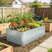 Outsunny Galvanized Raised Garden Bed, Outdoor Planter Box for Vegetables, Flowers, Herbs, 5' x 3' x 2', Silver(m-8)