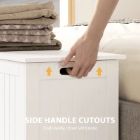 HOMCOM Large Storage Box Storage Trunk Cabinet Container with Lid and 2 Safety Hinges, White(m-6)