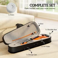HOMCOM 4/4 Full Size Violin, Wood Acoustic Violin Set for Beginners, Adults, with Case, Rosin, Shoulder Rest, Brown(m-4)