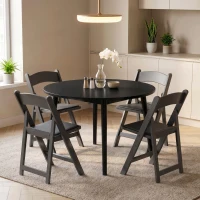 HOMCOM 4 Pack Folding Chairs, Foldable Resin Chair with Padded Seat, Portable Indoor Outdoor Seat for Office Events Dining(m-1)
