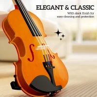HOMCOM 4/4 Full Size Violin, Wood Acoustic Violin Set for Beginners, Adults, with Case, Rosin, Shoulder Rest, Brown(m-6)