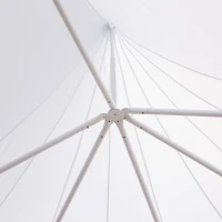 Outsunny 21' x 29' Wedding Event Party Tent High Peak Decagonal Outdoor Gazebo Canopy with Removable Walls White(m-10)