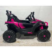 Qaba 24V 2 Seater Ride On Truck Car for Kids with Remote Control, Dual Motors, 4-Wheel Suspension, Storage for Ages 3-8, Pink(m-2)