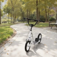 Aosom Youth Scooter Front and Rear Caliper Dual Brakes 12-Inch Inflatable Front Wheel Ride On Toy For Age 5+ - White(m-10)
