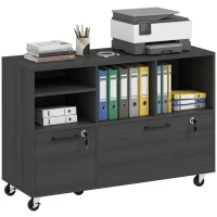HOMCOM File Cabinet, 2 Drawer Mobile Lateral Filing Cabinet Printer Stand with Lock, Charging Station, Hanging Bars, Black(m-13)
