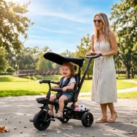 Qaba Tricycle for Toddler 5 in 1 Kids Trike, Converts Stroller to Toddler Bike, Adjustable Backrest & Flat Canopy, Detachable Guardrail & Handle for 1-5 Years Old, Black(m-1)