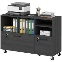 HOMCOM File Cabinet, 2 Drawer Mobile Lateral Filing Cabinet Printer Stand with Lock, Charging Station, Hanging Bars, Black(m-2)