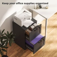 HOMCOM Vertical Filing Cabinet with 2 Drawers, Lock, File Cabinet for Home Office, A4 and Letter Size Files, Black(m-4)