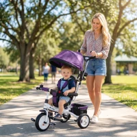 Qaba 6 in 1 Toddler Tricycle Stroller with Basket, Canopy, 5-point Safety Harness, for 12-60 Months, Purple(m-1)