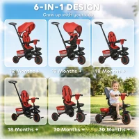 Aosom Tricycle for Toddler 6-in-1 Kids Trike, Foldable Converts Stroller to Baby Push Bike, Adjustable Backrest with Detachable Guardrail & Handle, Brake for 1-4 Years Old, Red(m-4)