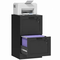 HOMCOM Vertical Filing Cabinet with 2 Drawers, Lock, File Cabinet for Home Office, A4 and Letter Size Files, Black(m-13)