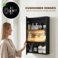 kleankin Wall Mounted Bathroom Medicine Cabinet with Hinged Door Storage Shelves for Living Room and Laundry Room Black(m-6)