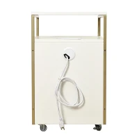 Modern File Cabinet with 2 USB and Power Outlet Port, Perfect Storage Unit for Home Offices or Workspaces, 15.5" L x 15.5" W x 26" H, White+Gold(m-8)