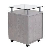 Compact File Cabinet with Hanging Drawers and Locking Design, Locking Storage Unit for Offices and Study Rooms, 15.5" L x 17.5" W x 24" H, Gray(m-9)